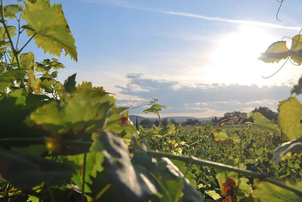 Logis Hotel Du Haut-Bugey Oyonnax 3*,  Francja